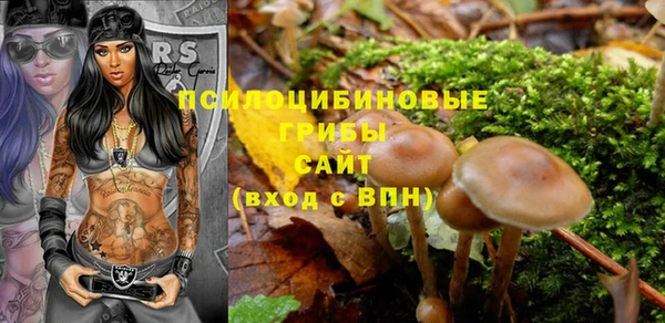 ALPHA PVP Каменногорск