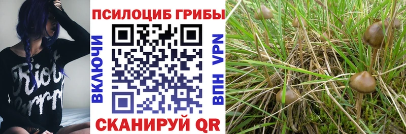 Псилоцибиновые грибы ЛСД где найти Сысерть